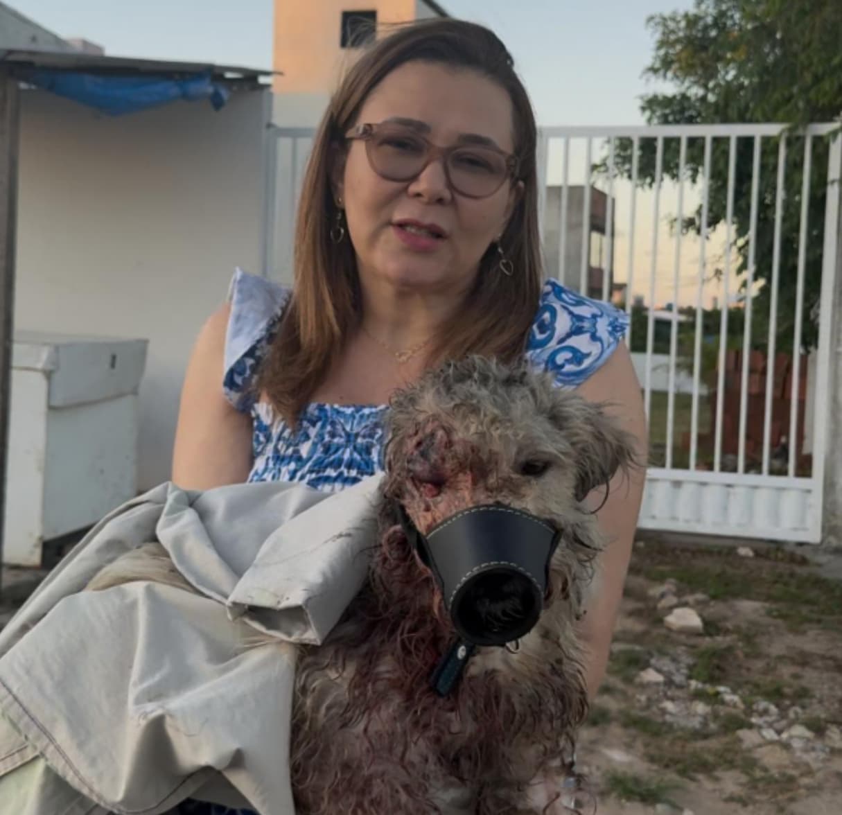 Abril Laranja: Fabíola Rezende reforça luta na prevenção à crueldade animal